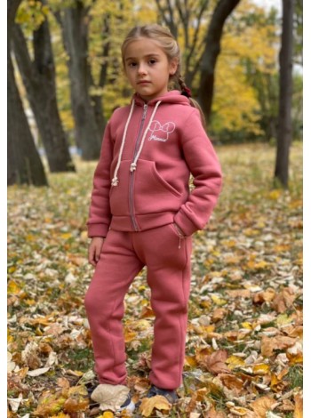 Теплий спортивний костюм на дівчинку 4 роки - 7 років