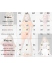 Велюровий костюм з шортами на дівчинку